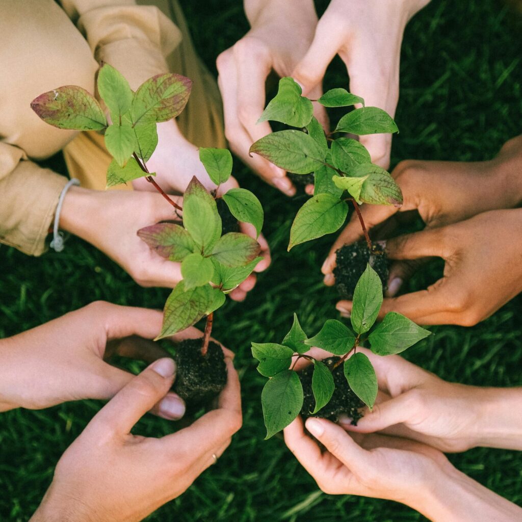 een gevoel geven bij de wens om bij de dragen aan een betere toekomst en klimaat