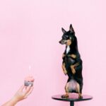 bekende zelf loslaten